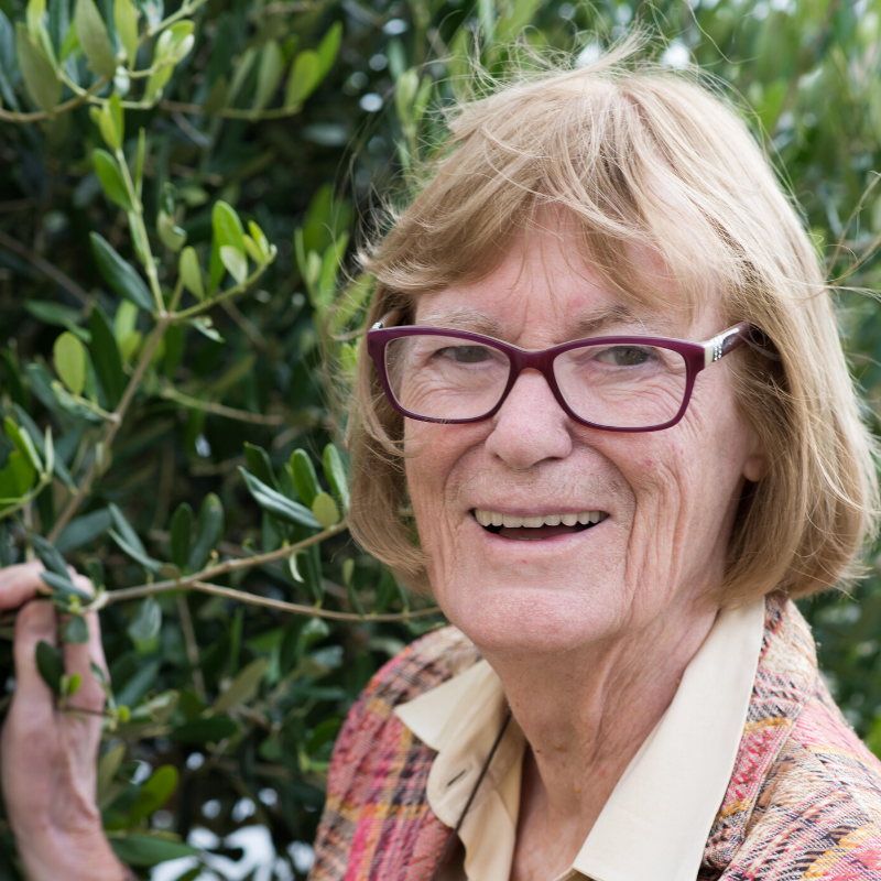 What Olive oil tasting expert judy ridgway has to say....